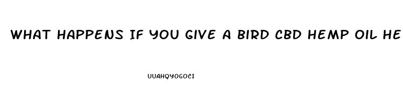 What Happens If You Give A Bird Cbd Hemp Oil Herbal Drops