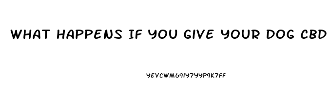 What Happens If You Give Your Dog Cbd Oil