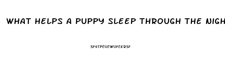 What Helps A Puppy Sleep Through The Night