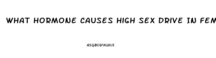 What Hormone Causes High Sex Drive In Females