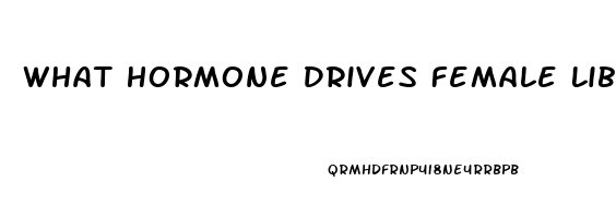 What Hormone Drives Female Libido