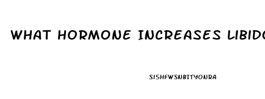 What Hormone Increases Libido