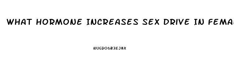 What Hormone Increases Sex Drive In Females