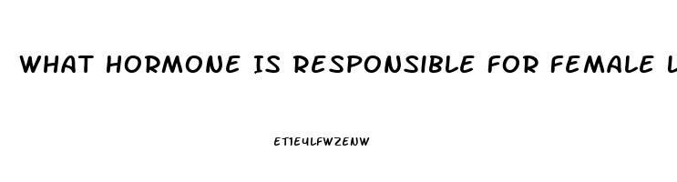 What Hormone Is Responsible For Female Libido