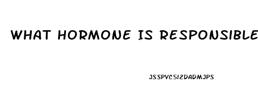 What Hormone Is Responsible For Female Libido