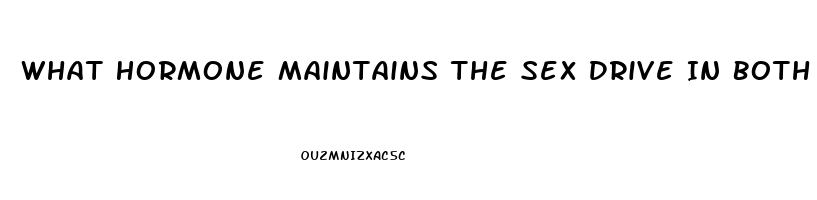 What Hormone Maintains The Sex Drive In Both Men And Women