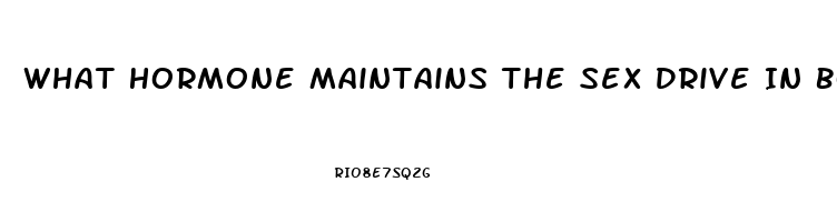 What Hormone Maintains The Sex Drive In Both Men And Women