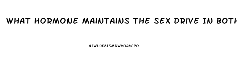 What Hormone Maintains The Sex Drive In Both Men And Women