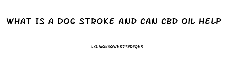 What Is A Dog Stroke And Can Cbd Oil Help