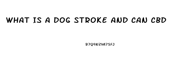 What Is A Dog Stroke And Can Cbd Oil Help