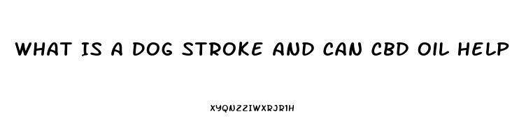 What Is A Dog Stroke And Can Cbd Oil Help