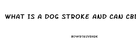 What Is A Dog Stroke And Can Cbd Oil Help