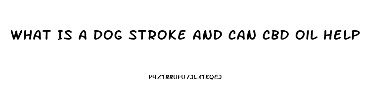 What Is A Dog Stroke And Can Cbd Oil Help