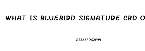 What Is Bluebird Signature Cbd Oil Good For