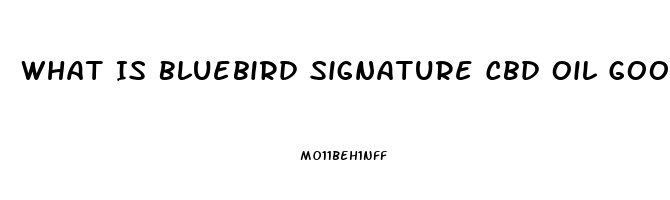 What Is Bluebird Signature Cbd Oil Good For