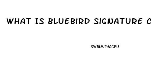 What Is Bluebird Signature Cbd Oil Good For