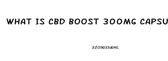 What Is Cbd Boost 300mg Capsules