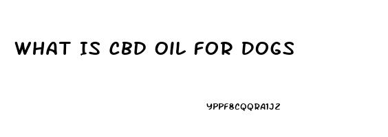 What Is Cbd Oil For Dogs