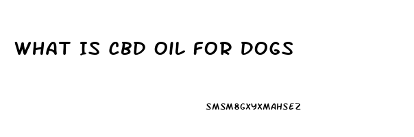 What Is Cbd Oil For Dogs