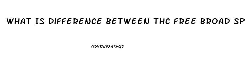 What Is Difference Between Thc Free Broad Spectrum Hemp Oil And Pure Cbd Isolate