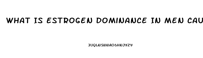 What Is Estrogen Dominance In Men Cause Impotence