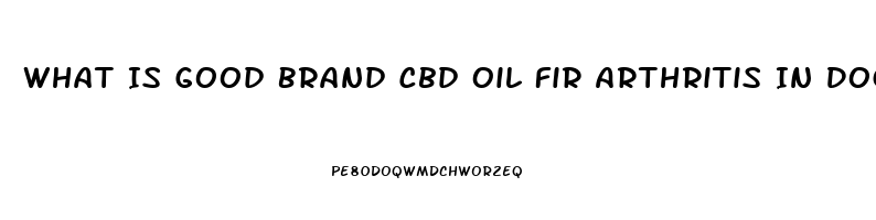 What Is Good Brand Cbd Oil Fir Arthritis In Dogs