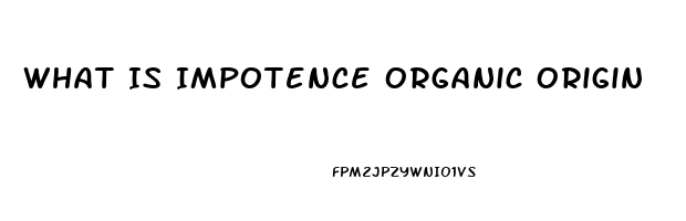 What Is Impotence Organic Origin