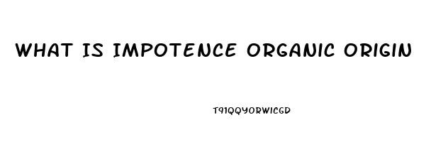 What Is Impotence Organic Origin