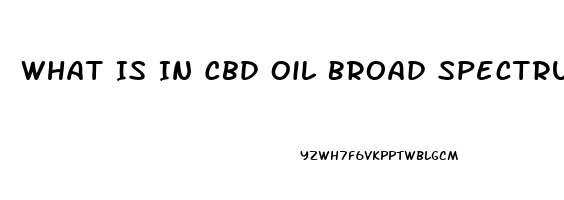 What Is In Cbd Oil Broad Spectrum
