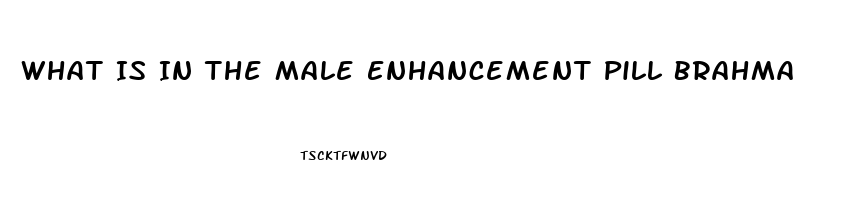 What Is In The Male Enhancement Pill Brahma