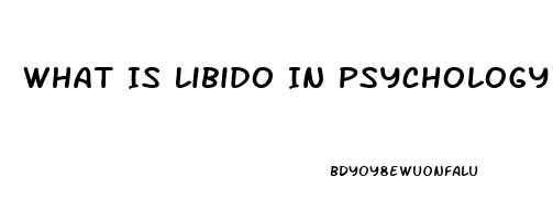 What Is Libido In Psychology