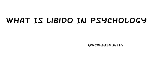 What Is Libido In Psychology