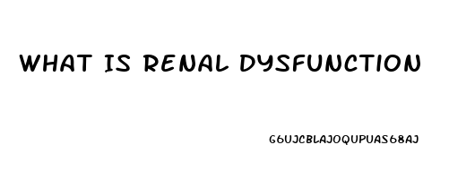 What Is Renal Dysfunction