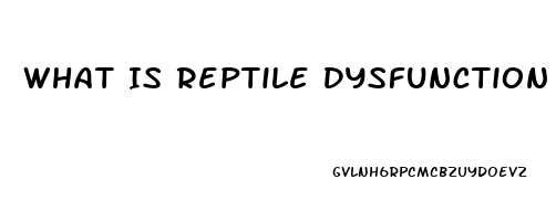 What Is Reptile Dysfunction