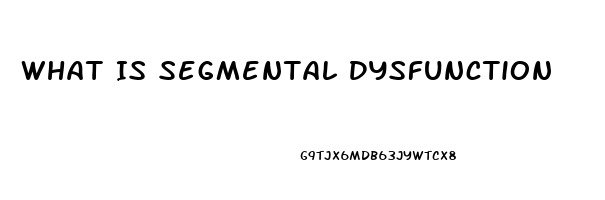 What Is Segmental Dysfunction