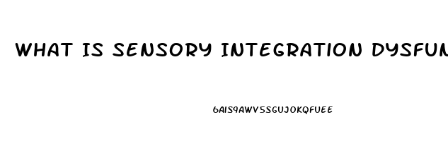 What Is Sensory Integration Dysfunction