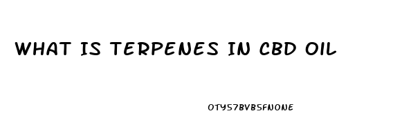 What Is Terpenes In Cbd Oil