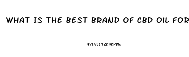 What Is The Best Brand Of Cbd Oil For Dogs