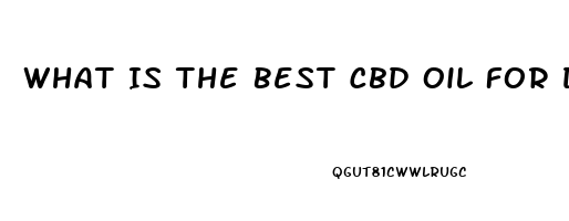 What Is The Best Cbd Oil For Dogs