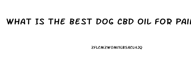 What Is The Best Dog Cbd Oil For Pain