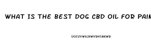 What Is The Best Dog Cbd Oil For Pain