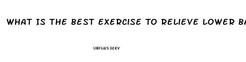 What Is The Best Exercise To Relieve Lower Back Pain