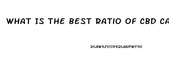 What Is The Best Ratio Of Cbd Cannabis To Olive Oil When Making Cbd Oil