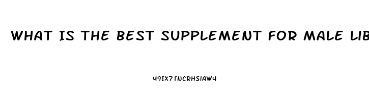 What Is The Best Supplement For Male Libido