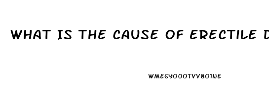 What Is The Cause Of Erectile Dysfunction