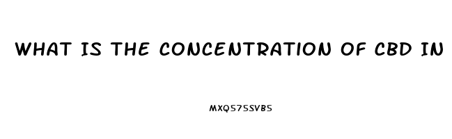 What Is The Concentration Of Cbd In Hemp Oil