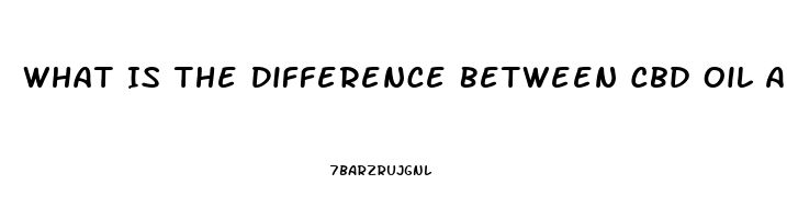 What Is The Difference Between Cbd Oil And Cbd Tincture