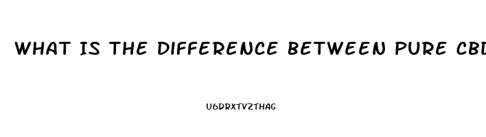 What Is The Difference Between Pure Cbd Oil And Hemp Oil