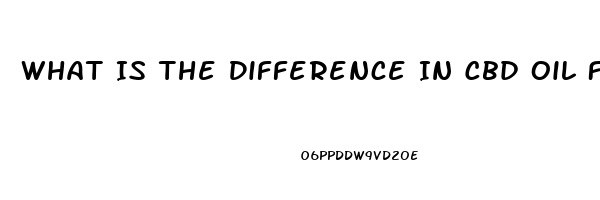 What Is The Difference In Cbd Oil For Dogs And Humans