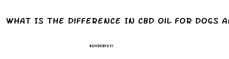 What Is The Difference In Cbd Oil For Dogs And Humans